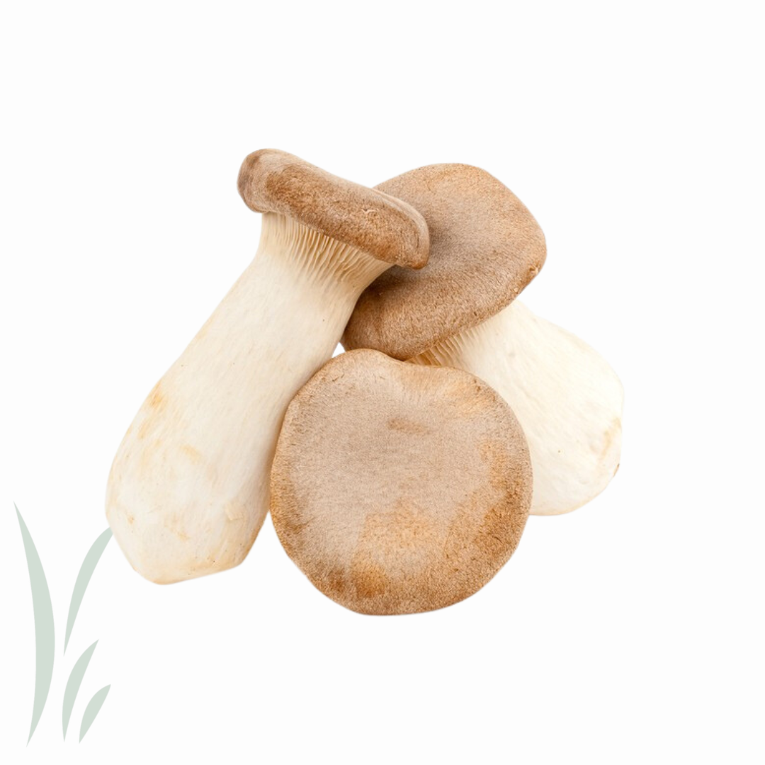 King Oyster Mushrooms / lb